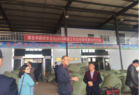 2024澳门2024免费材料网