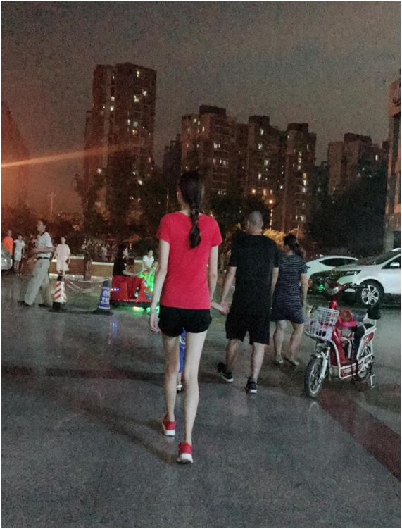 2024澳门2024免费材料网