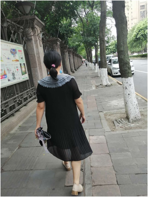 2024澳门2024免费材料网