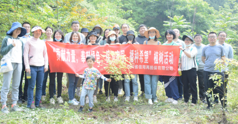 2024澳门2024免费材料网