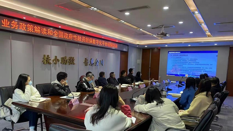 2024澳门2024免费材料网