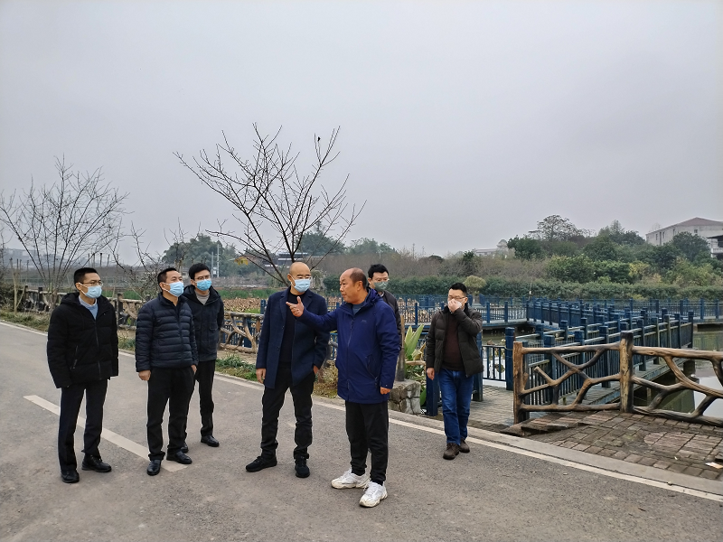 2024澳门2024免费材料网
