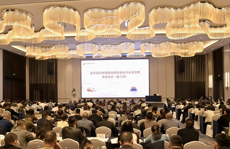 2024澳门2024免费材料网