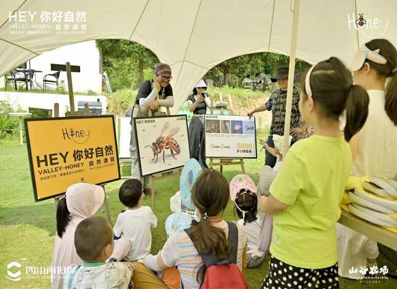 2024澳门2024免费材料网