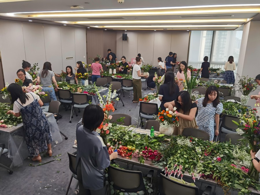 2024澳门2024免费材料网